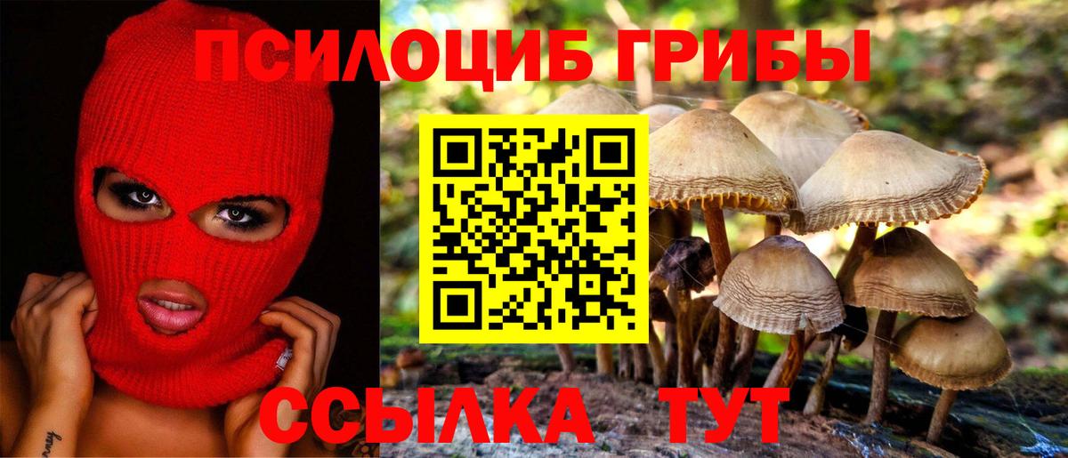 Псилоцибиновые грибы MAGIC MUSHROOMS Елабуга