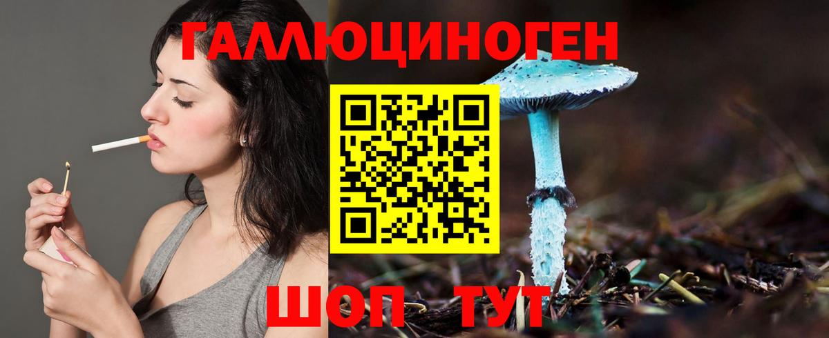Галлюциногенные грибы GOLDEN TEACHER  Вход с VPN  Елабуга 