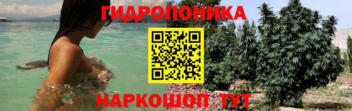 Конопля THC 21%  МАРИХУАНА планчик  Канабис сатива  Вход с VPN  Елабуга 